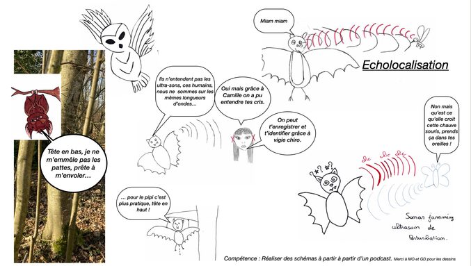 Illustrations. initiation au dessin de presse.jpg
